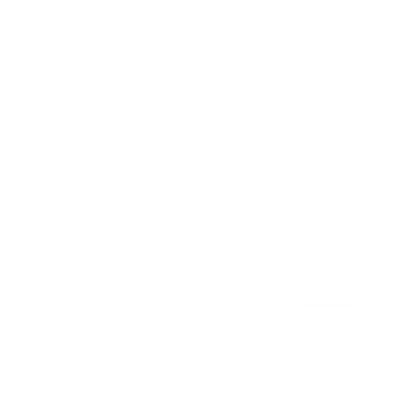 Layered Snowflake Geometric Logo #ffffff