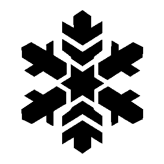 Geometric Snowflake Logo