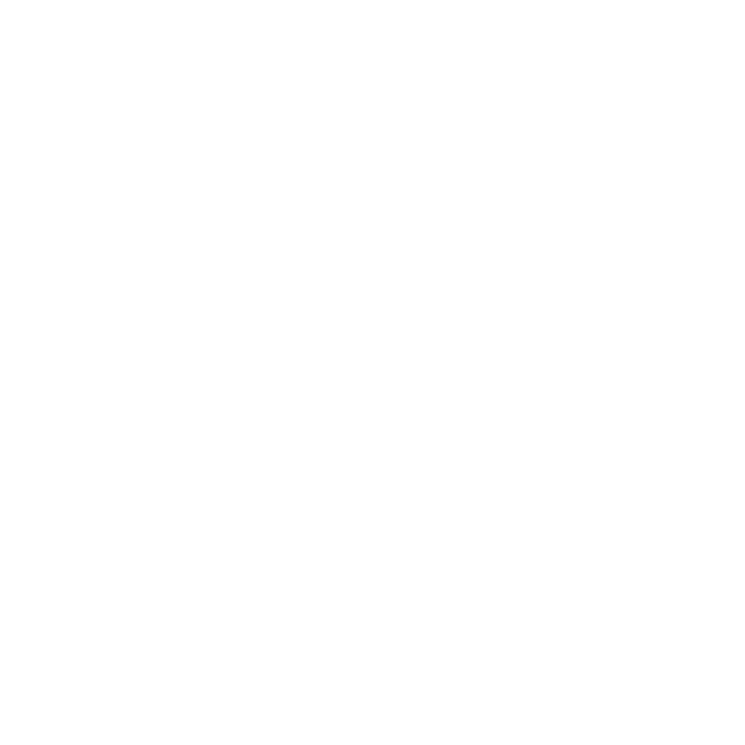 Layered Overlap Snowflake Logo #ffffff