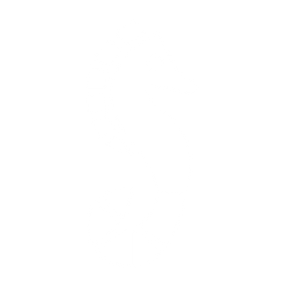 Swiss Style Seahorse Logo #ffffff