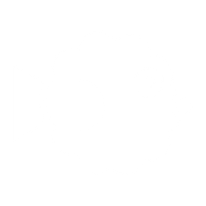 Pufferfish Bold Logo #ffffff