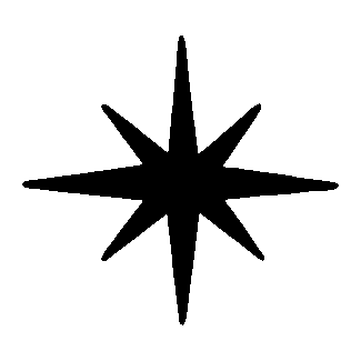 Hand-Drawn Star Burst Logo