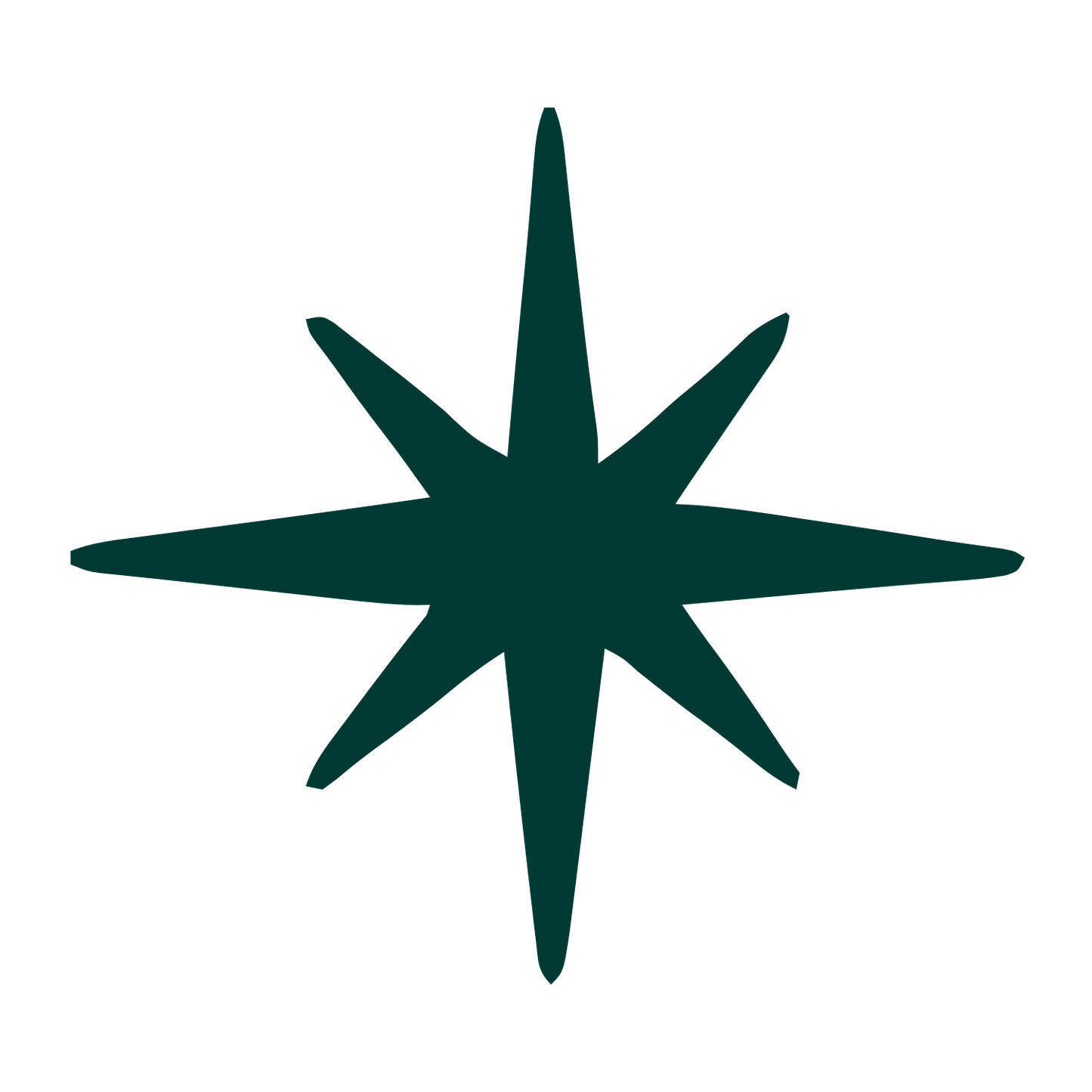 Hand-Drawn Star Burst Logo #003932