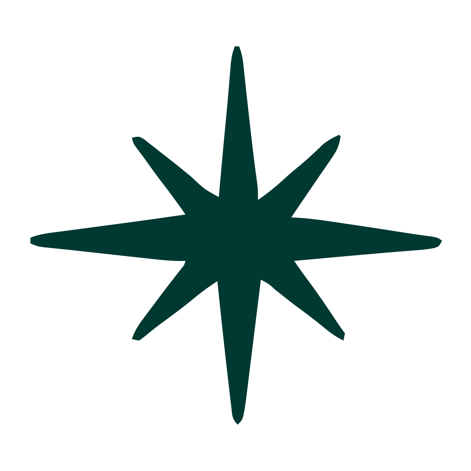 Hand-Drawn Star Burst Logo #003932
