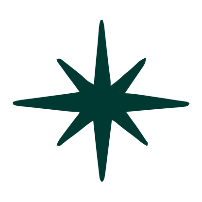 Hand-Drawn Star Burst Logo #003932
