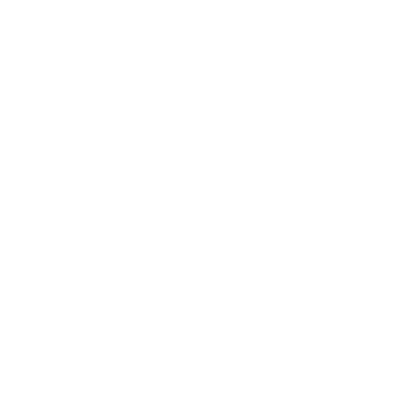 Shield Badge Arrow Logo #ffffff