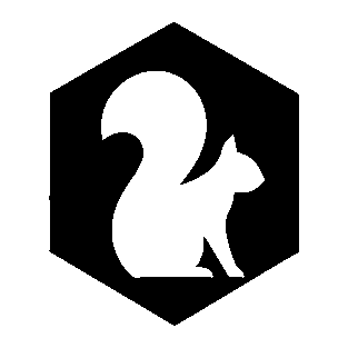 Squirrel Hexagon Badge Logo