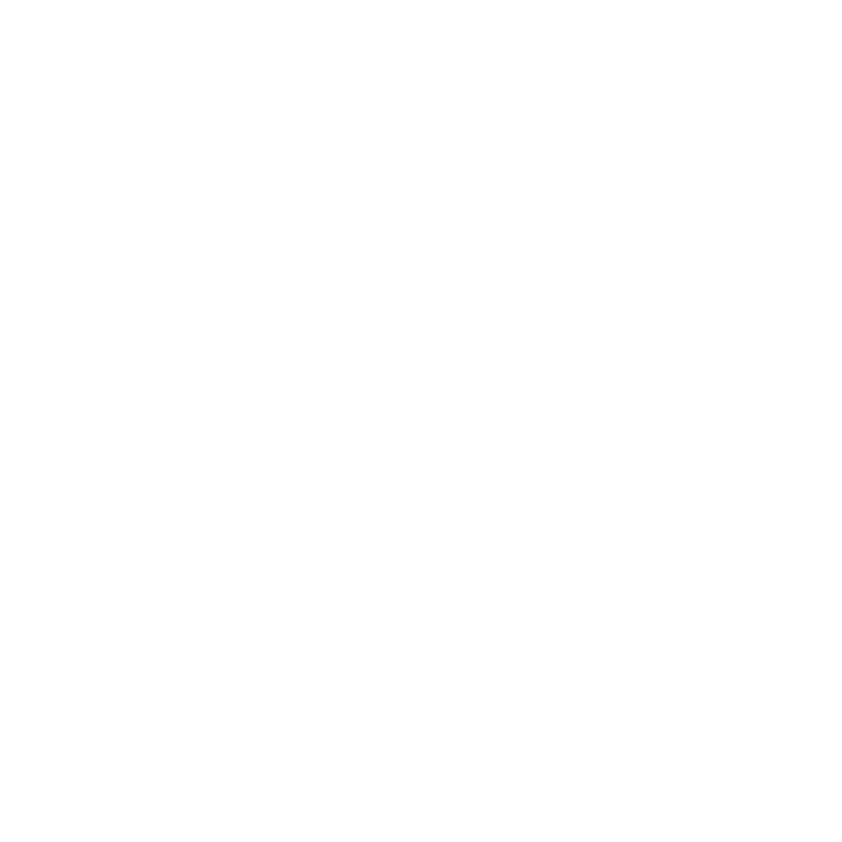 Monoline Seagull Bird Logo #ffffff