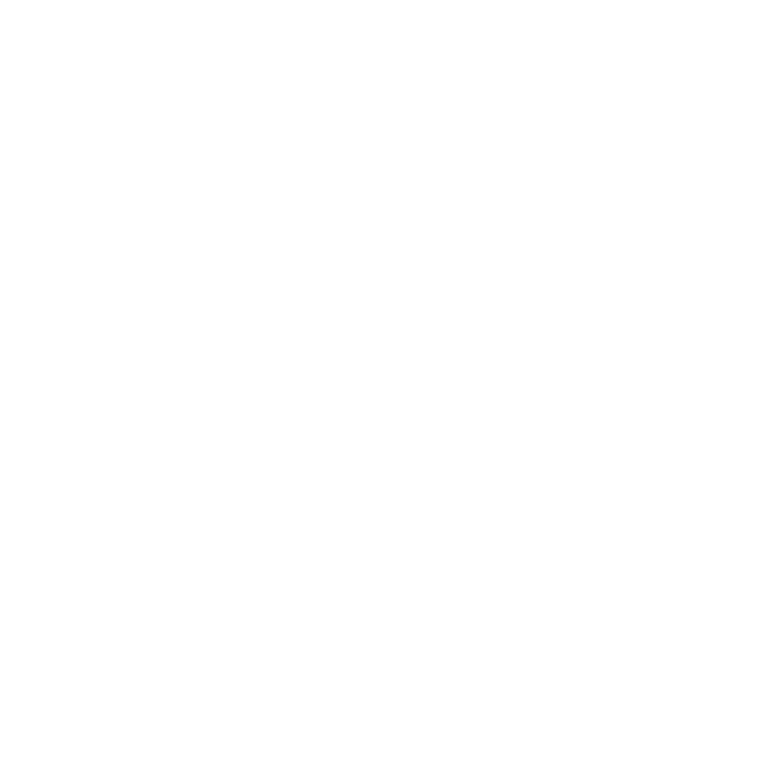 Iceberg Wave Logo #ffffff