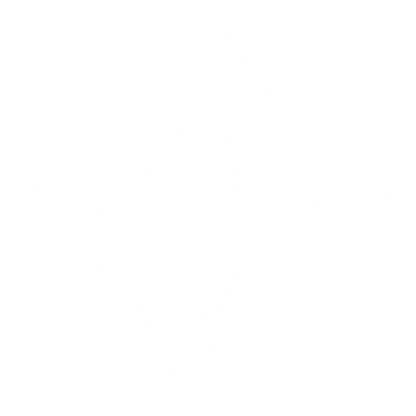 Iceberg Wave Logo #ffffff