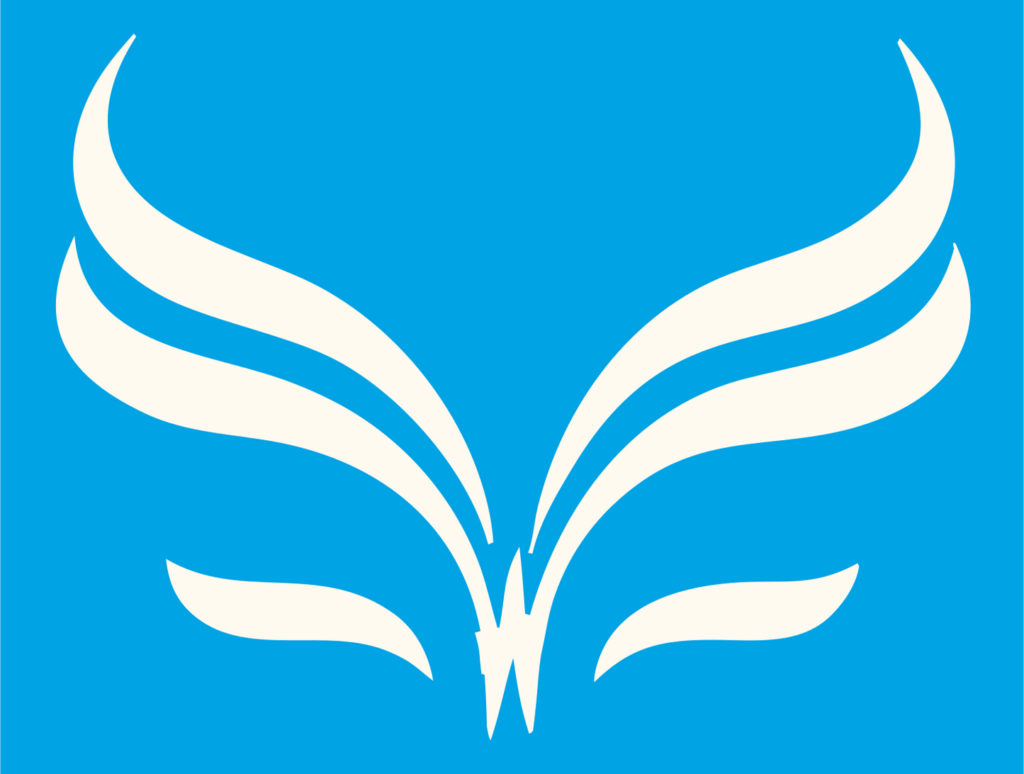 Swept Wing Butterfly Logo #00a3e4/#fffaf0