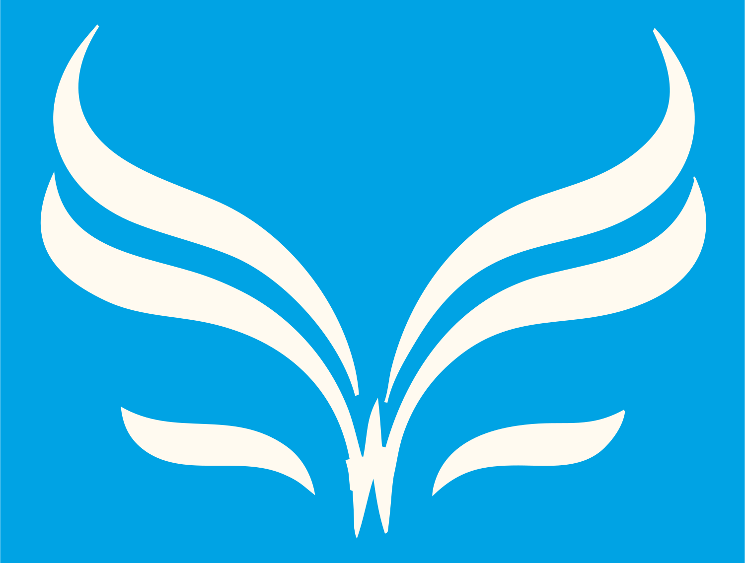 Swept Wing Butterfly Logo #00a3e4/#fffaf0