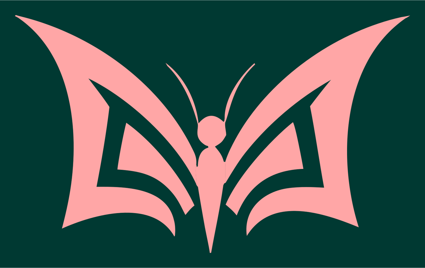 Bold Geometric Butterfly Logo #003932/#ffa6a6