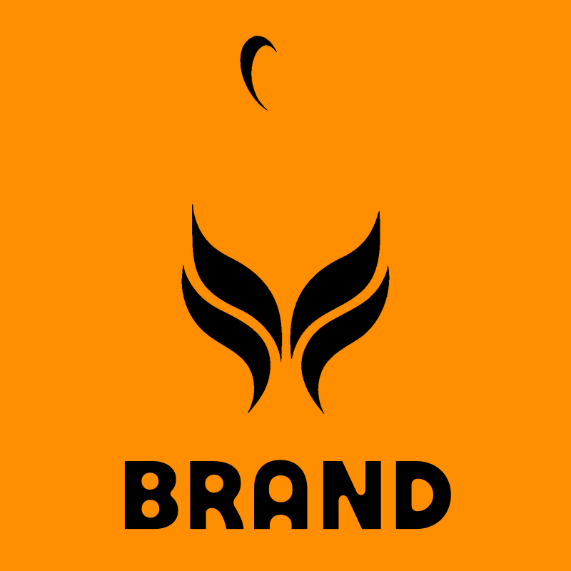Flame Wing Butterfly Logo preview