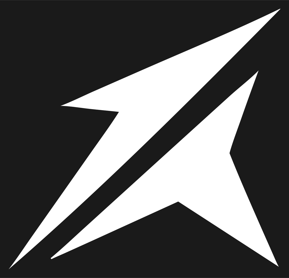 Sharp Star Slash Logo #1a1a1a/#ffffff