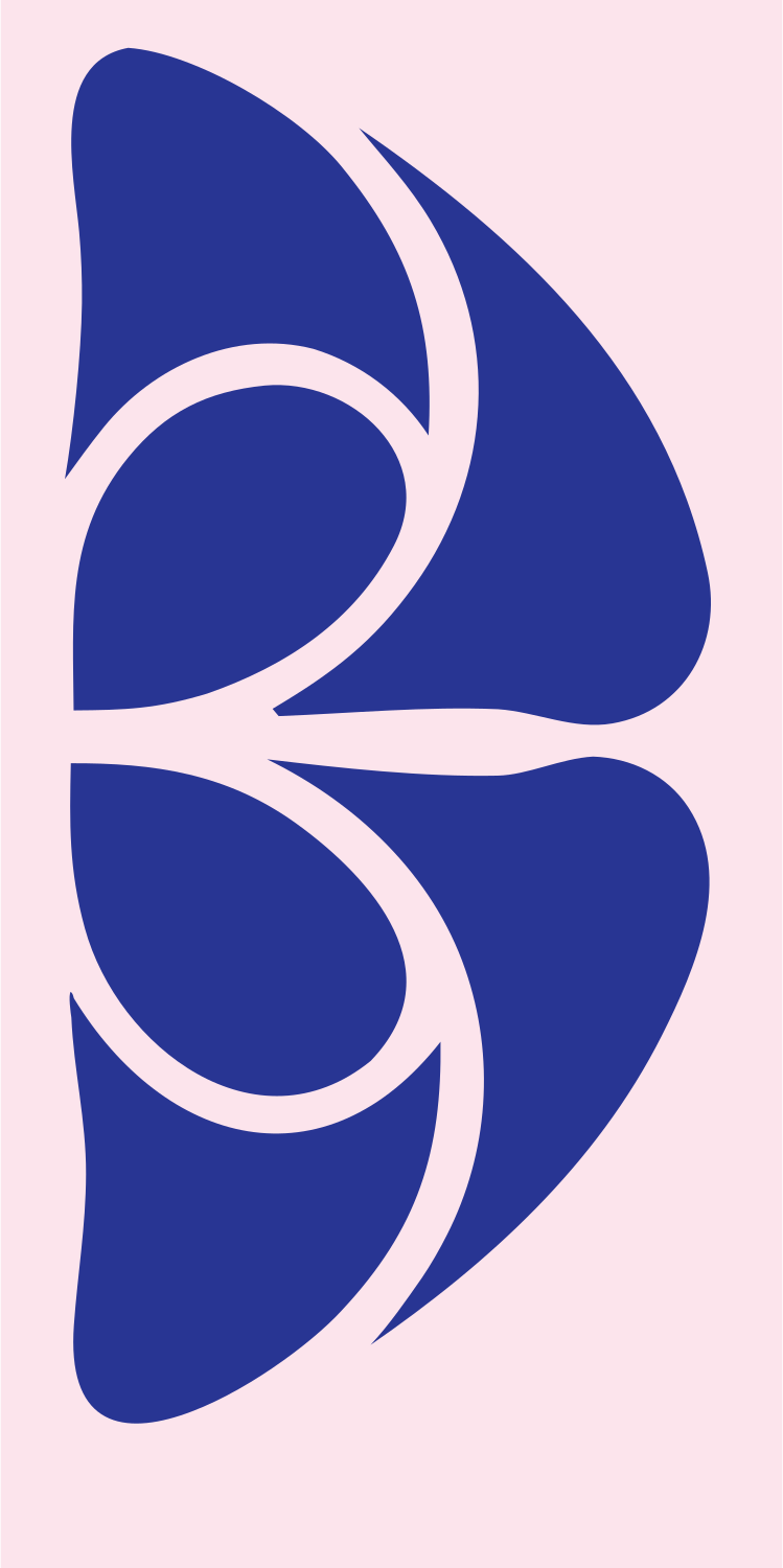 Butterfly Wing Overlap Logo #fce4ec/#283593