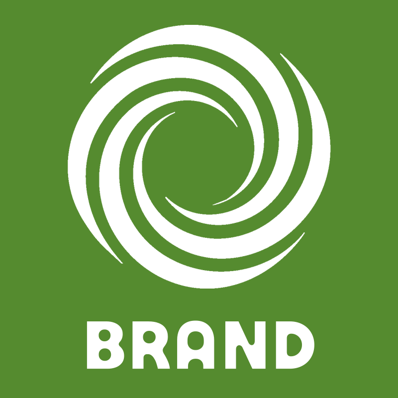 Spiral Vortex Swirl Logo preview