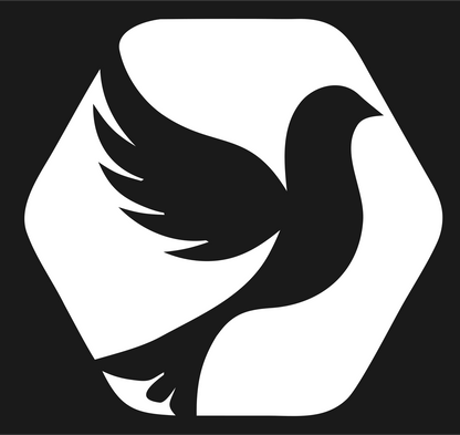 Dove Hexagon Negative Space Logo #1a1a1a/#ffffff