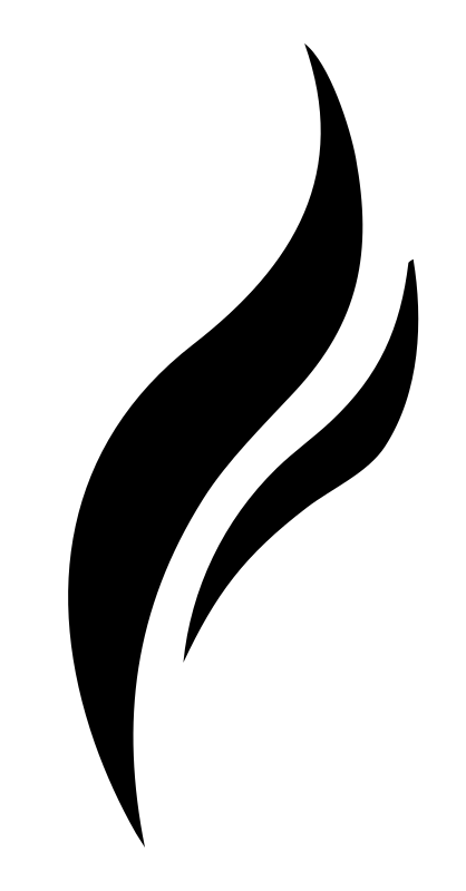 Dual Flame Swirl Logo