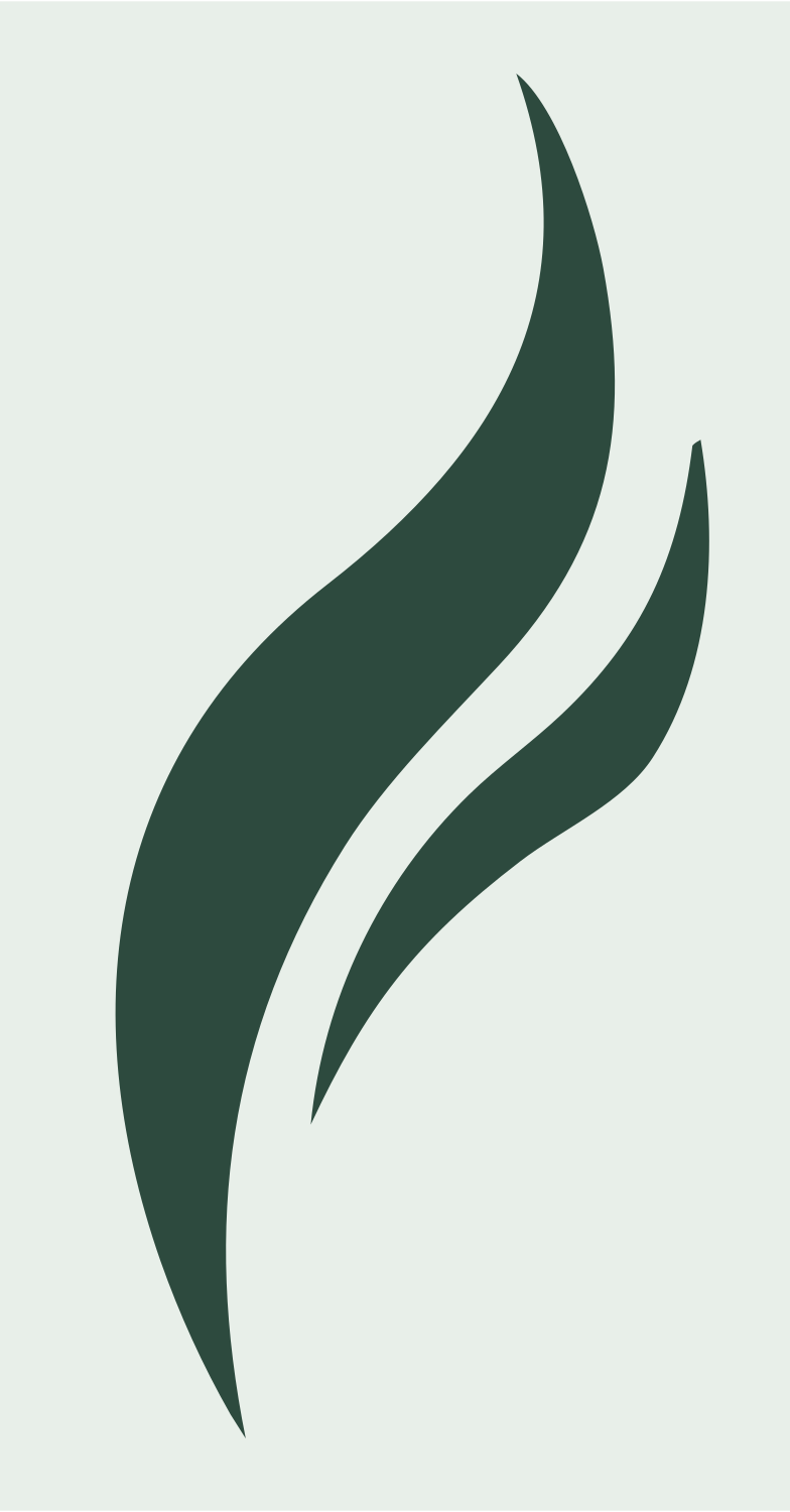 Dual Flame Swirl Logo #e8efe9/#2d4a3e