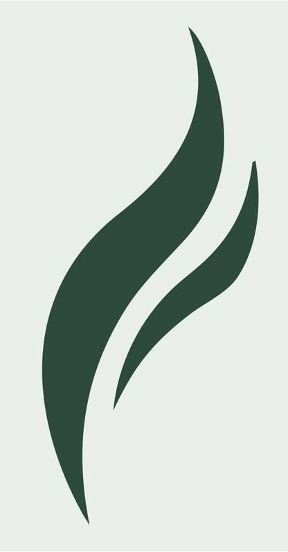 Dual Flame Swirl Logo #e8efe9/#2d4a3e