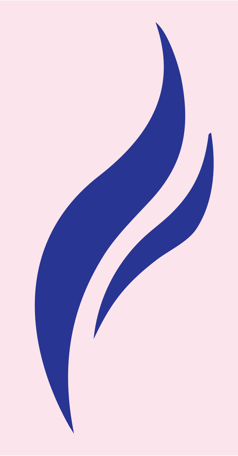 Dual Flame Swirl Logo #fce4ec/#283593