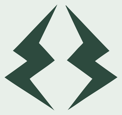 Mirrored Lightning Bolt Logo #e8efe9/#2d4a3e