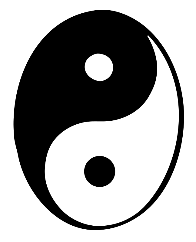 Hand-Drawn Yin Yang Logo