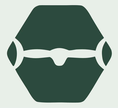 Hexagon Drone Negative Space Logo #e8efe9/#2d4a3e
