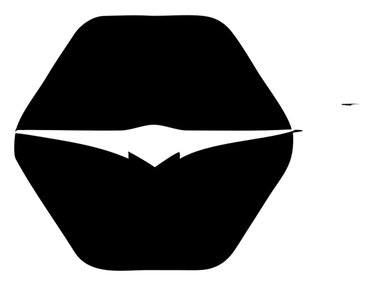 Lips Hexagon Drone Logo