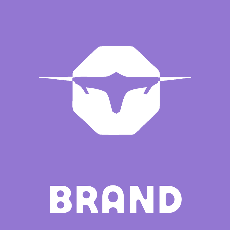 Longhorn Drone Octagon Logo preview