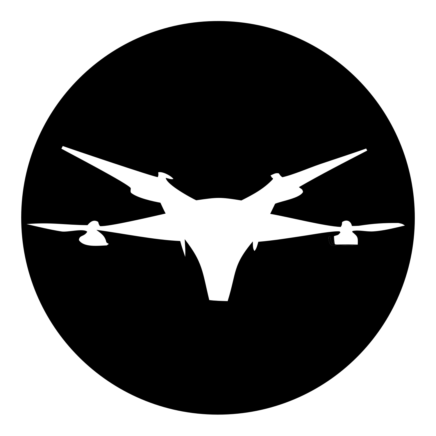 Drone Circle Silhouette Logo #ffffff/#000000
