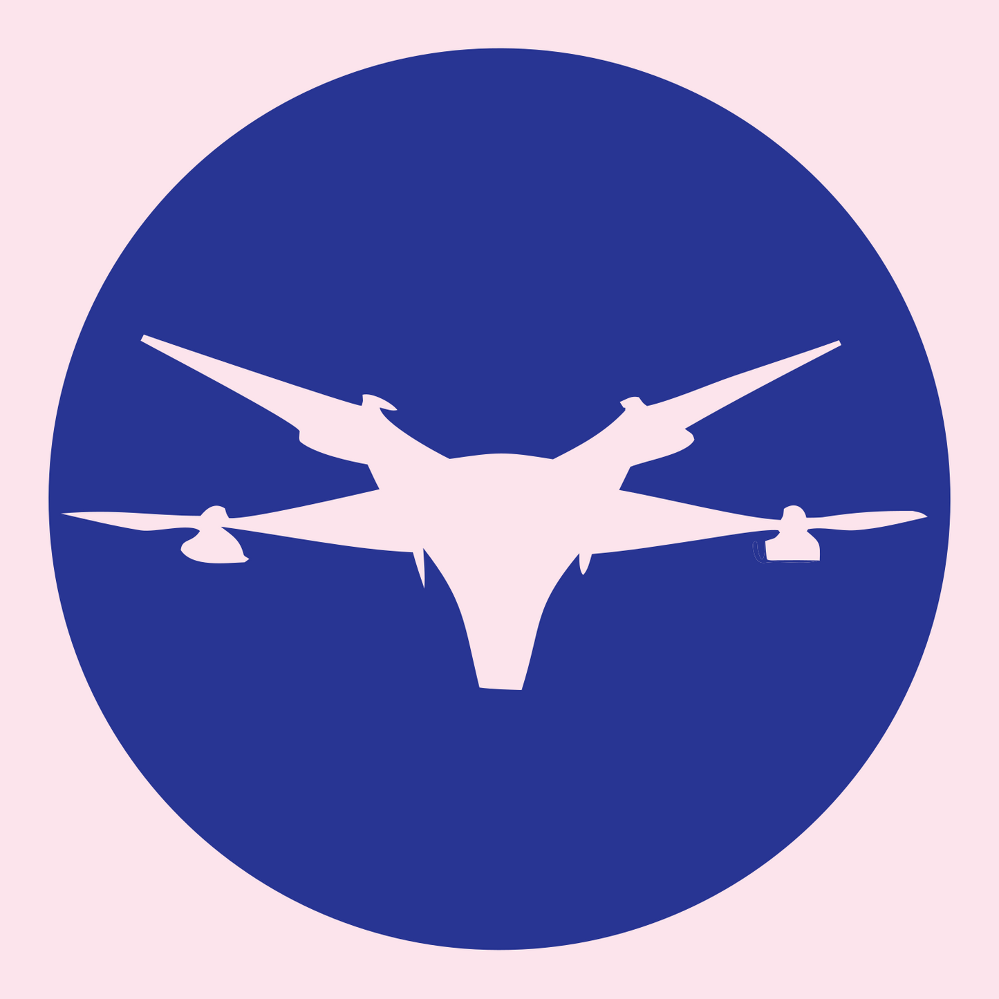 Drone Circle Silhouette Logo #fce4ec/#283593