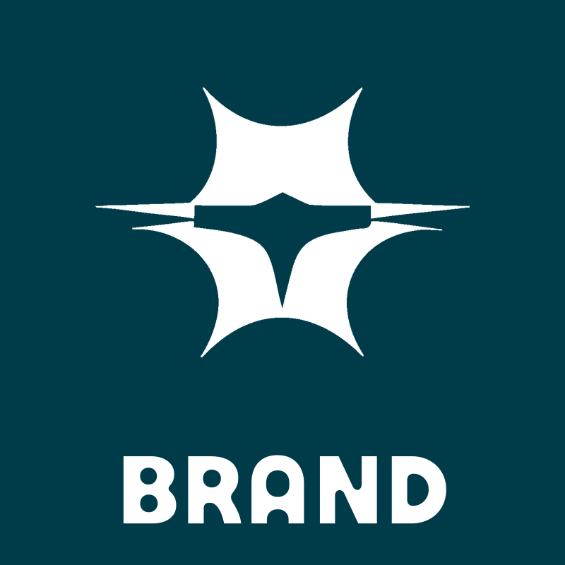 Four Point Star Drone Logo preview