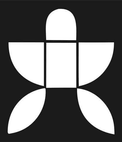 Space Capsule Logo #1a1a1a/#ffffff