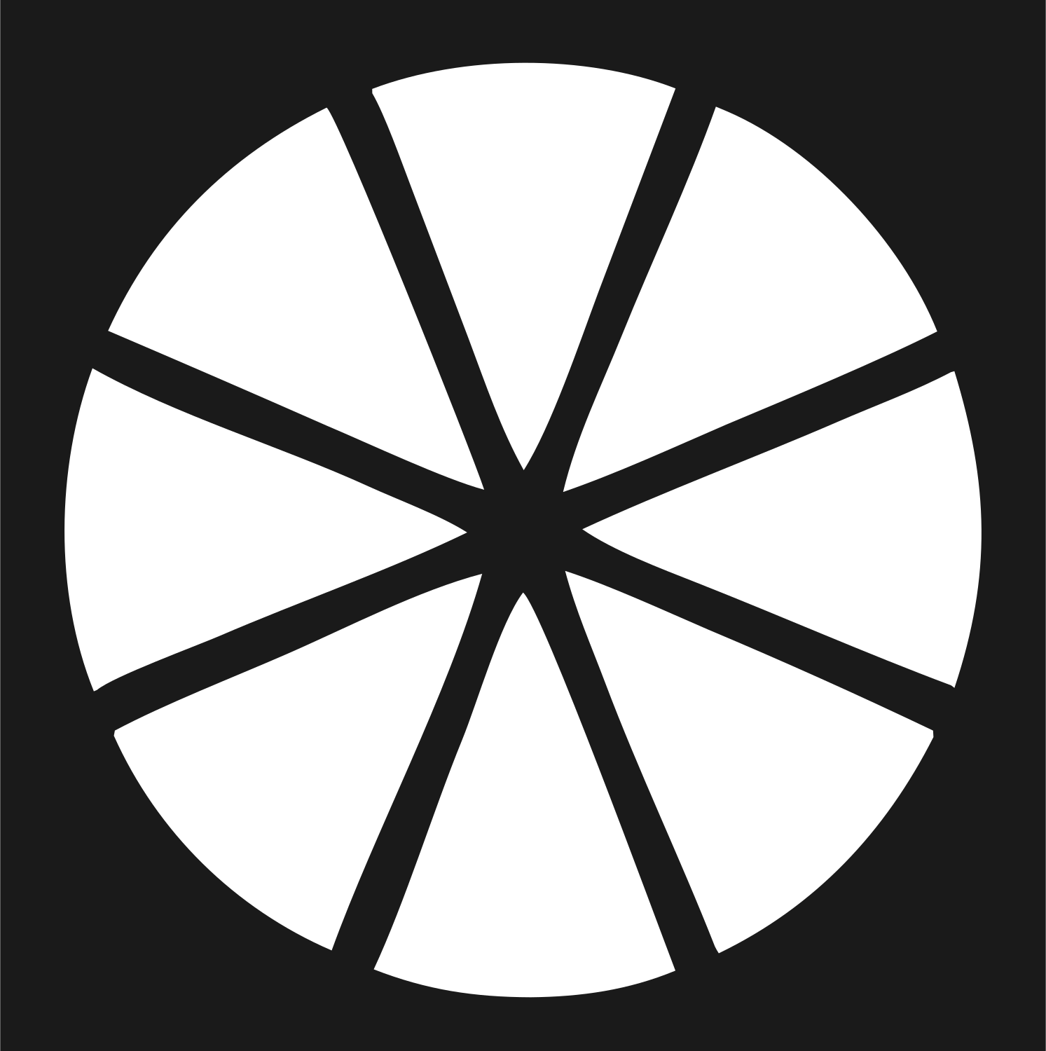 Citrus Wheel Slice Logo #1a1a1a/#ffffff