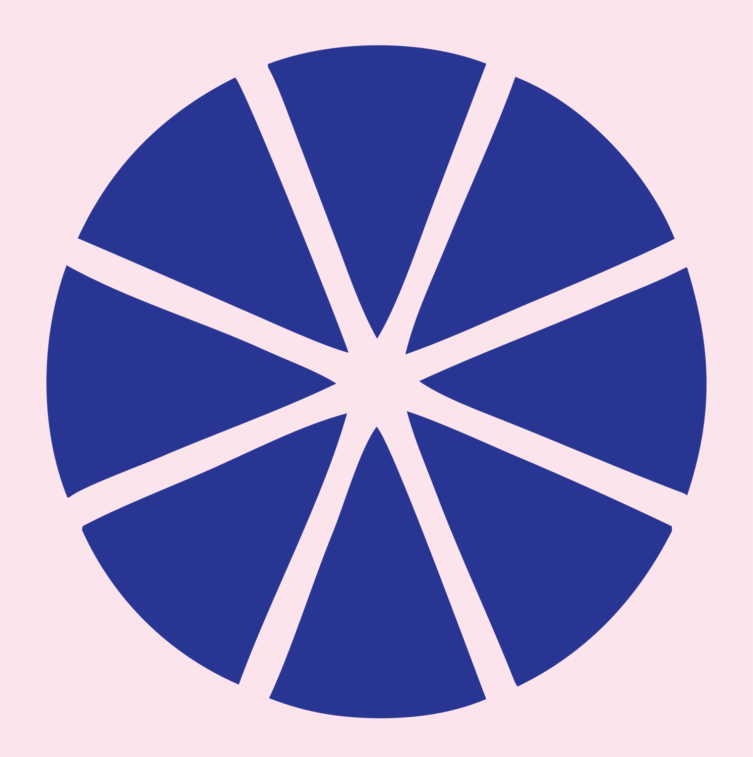 Citrus Wheel Slice Logo #fce4ec/#283593