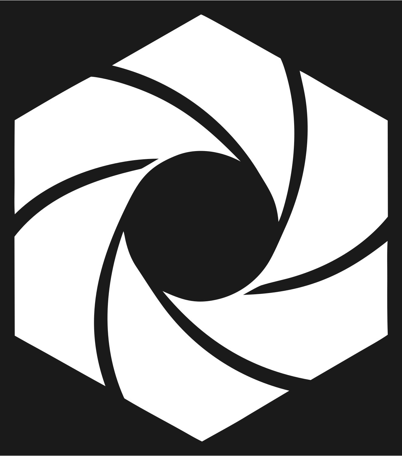 Hexagon Swirl Spiral Logo #1a1a1a/#ffffff