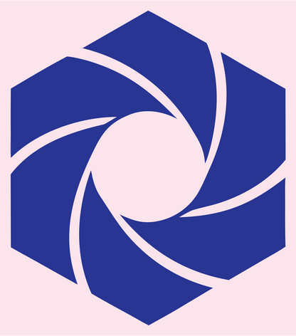Hexagon Swirl Spiral Logo #fce4ec/#283593