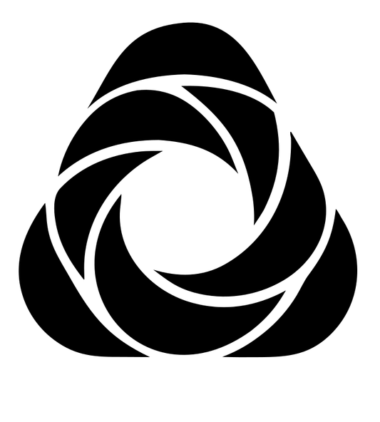 Spinning Petal Triangle Logo