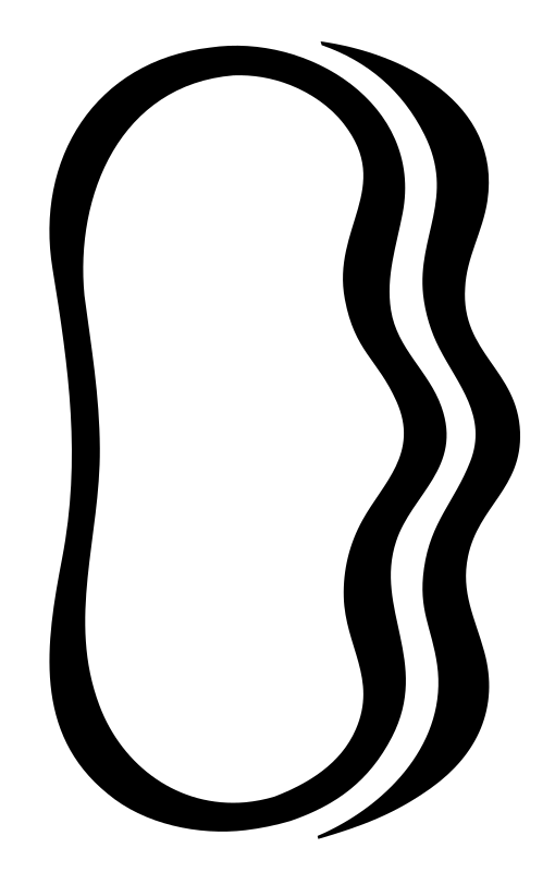 Wavy Bean Shape Logo