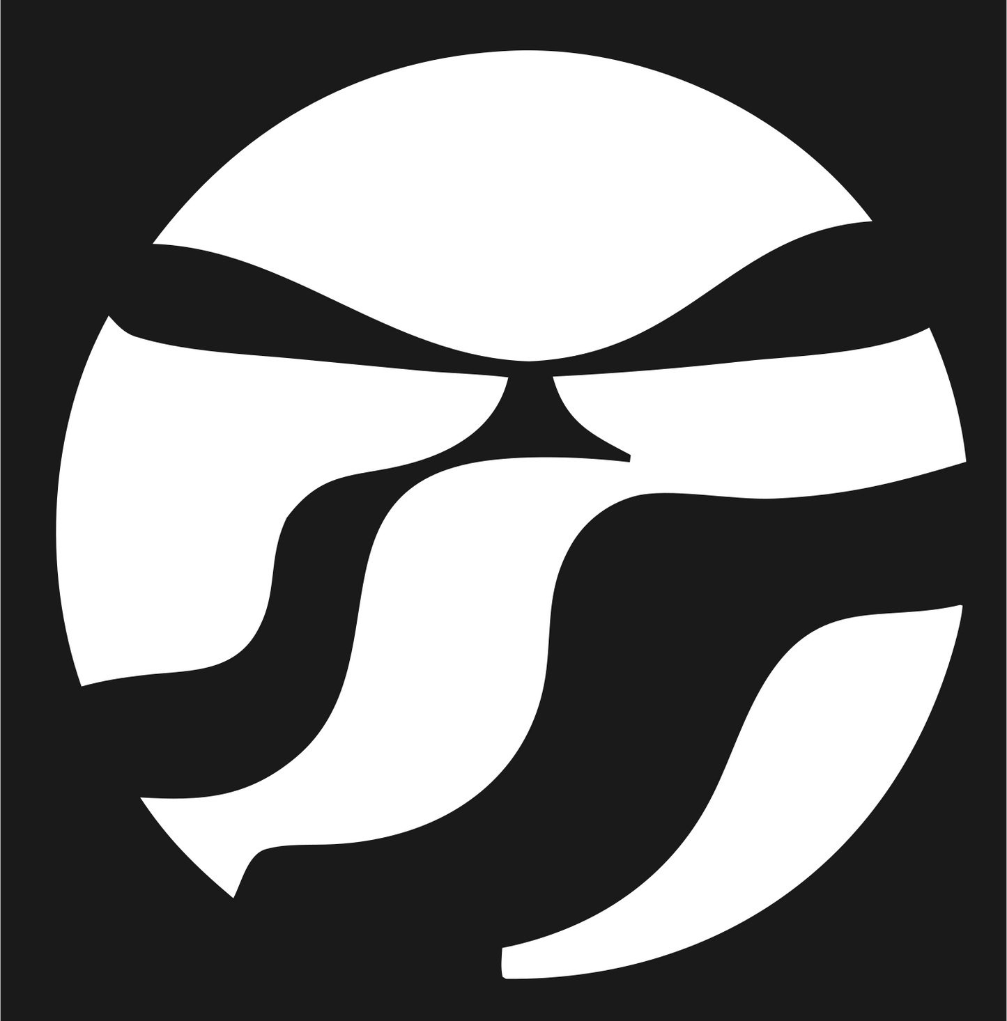 Rotor Wash Circle Logo #1a1a1a/#ffffff