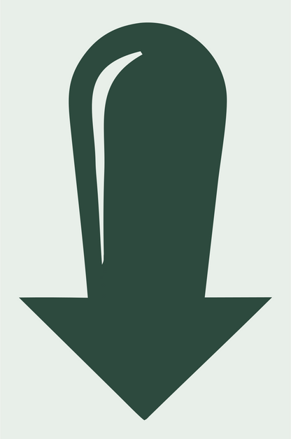 Down Arrow Submarine Logo #e8efe9/#2d4a3e