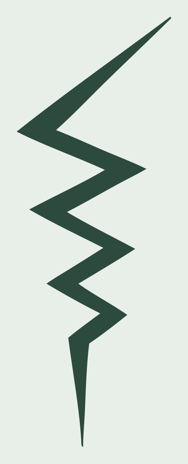 Lightning Bolt Foot Logo #e8efe9/#2d4a3e