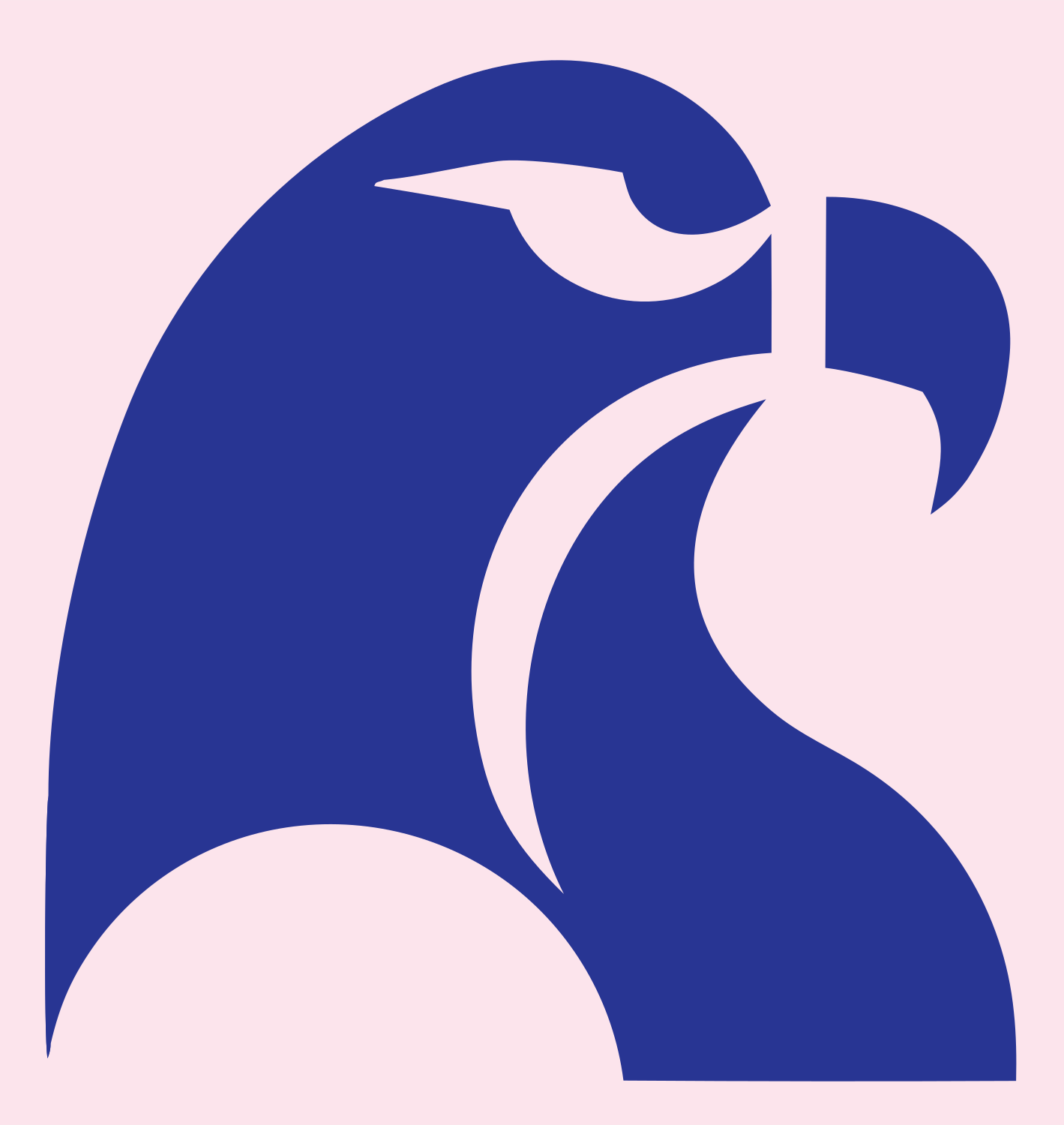 Swiss Style Hooked Beak Raptor Profile Mark #fce4ec/#283593