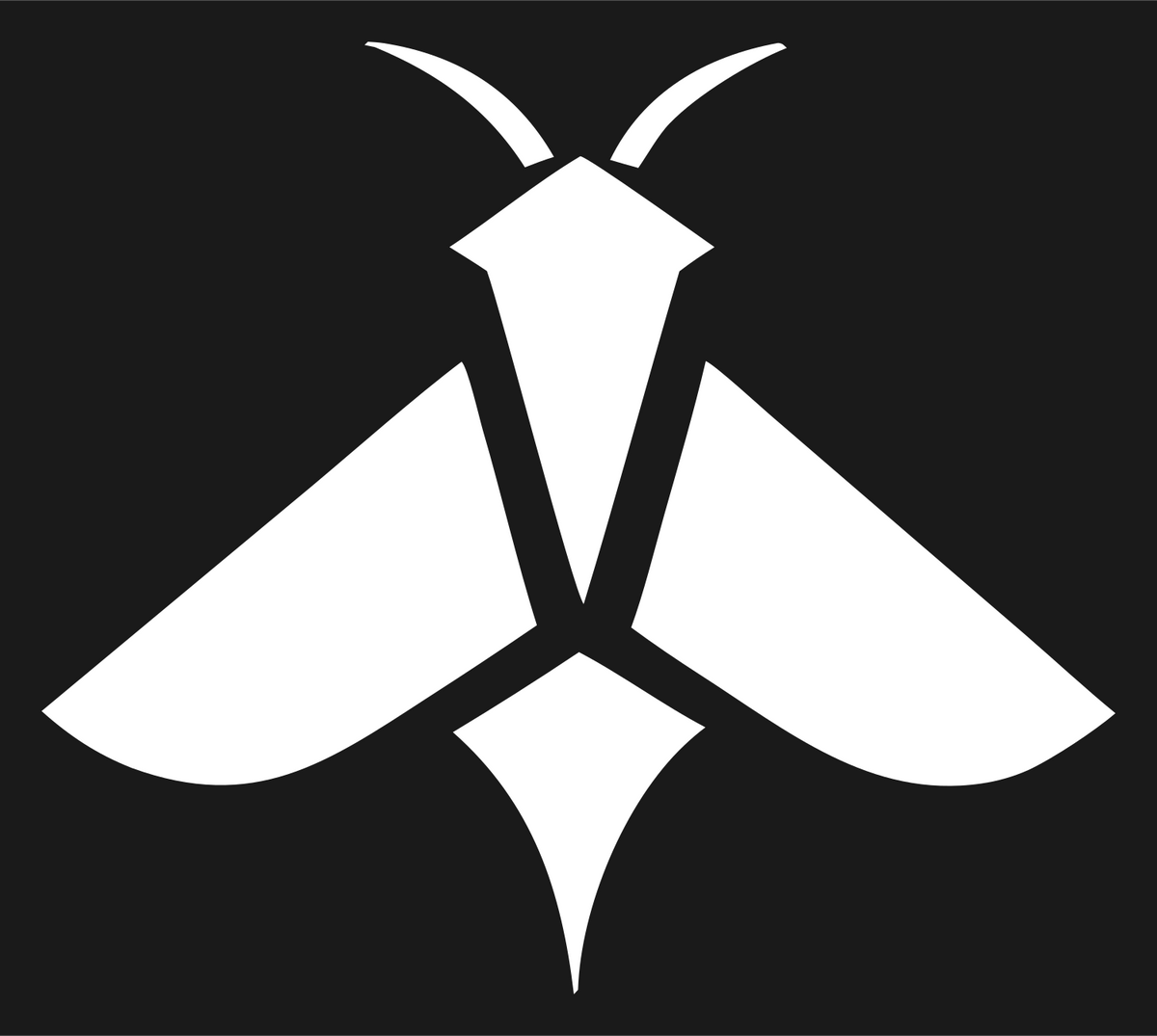 Flat Pictogram Spread Wing Moth Emblem #1a1a1a/#ffffff