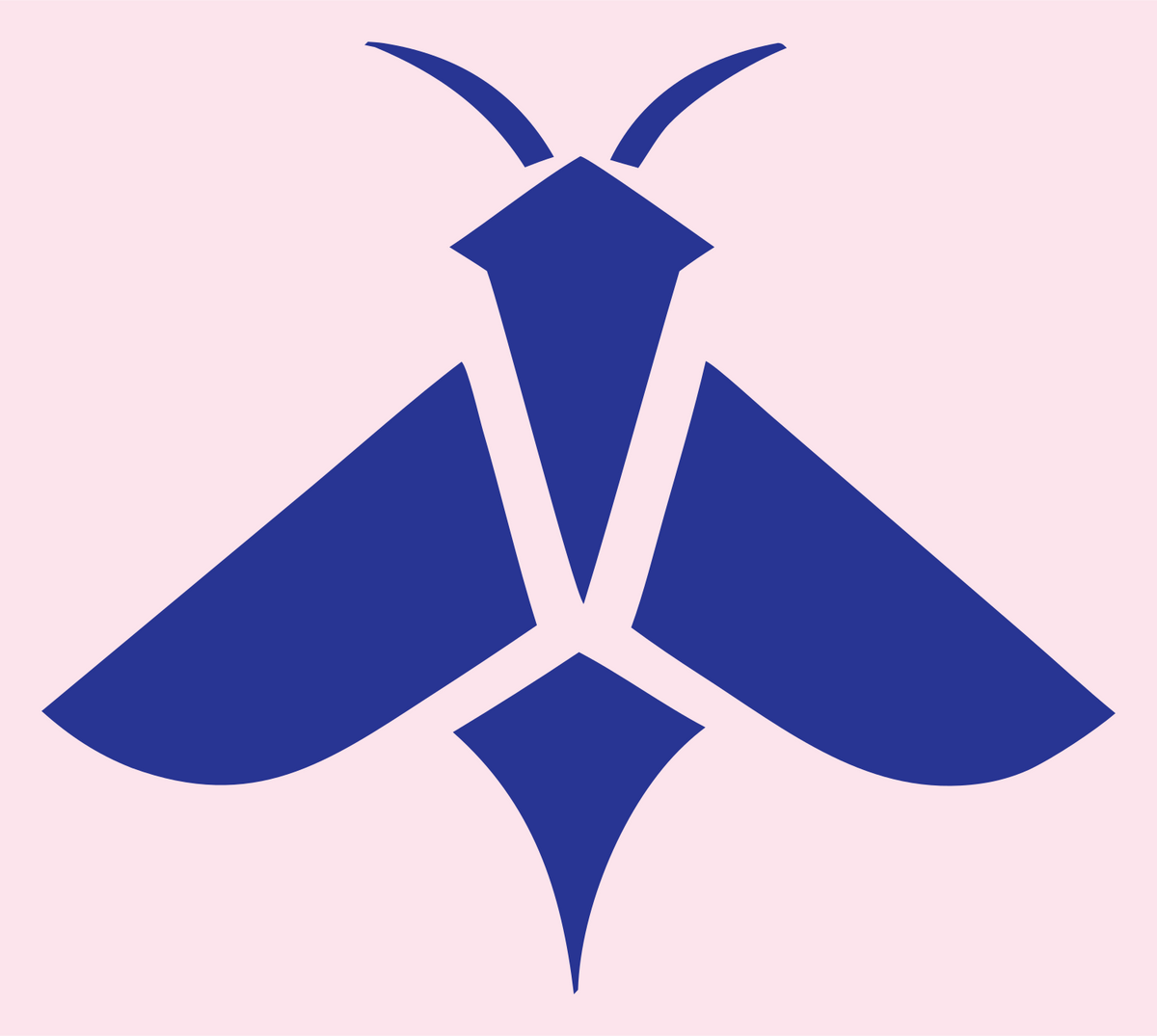 Flat Pictogram Spread Wing Moth Emblem #fce4ec/#283593