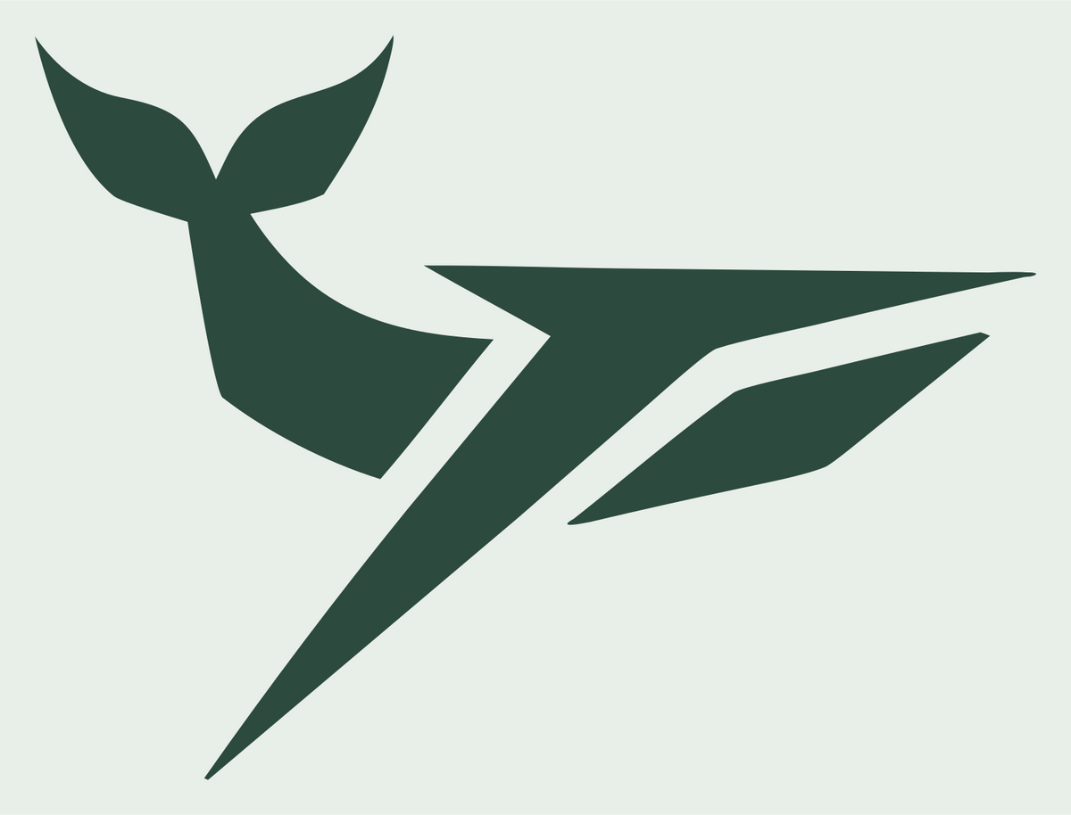 Sharp Faceted Whale Torpedo Flight Emblem #e8efe9/#2d4a3e