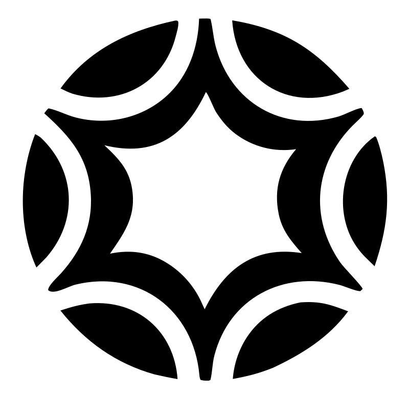 Negative Space Petal Star Soccer Ball Icon
