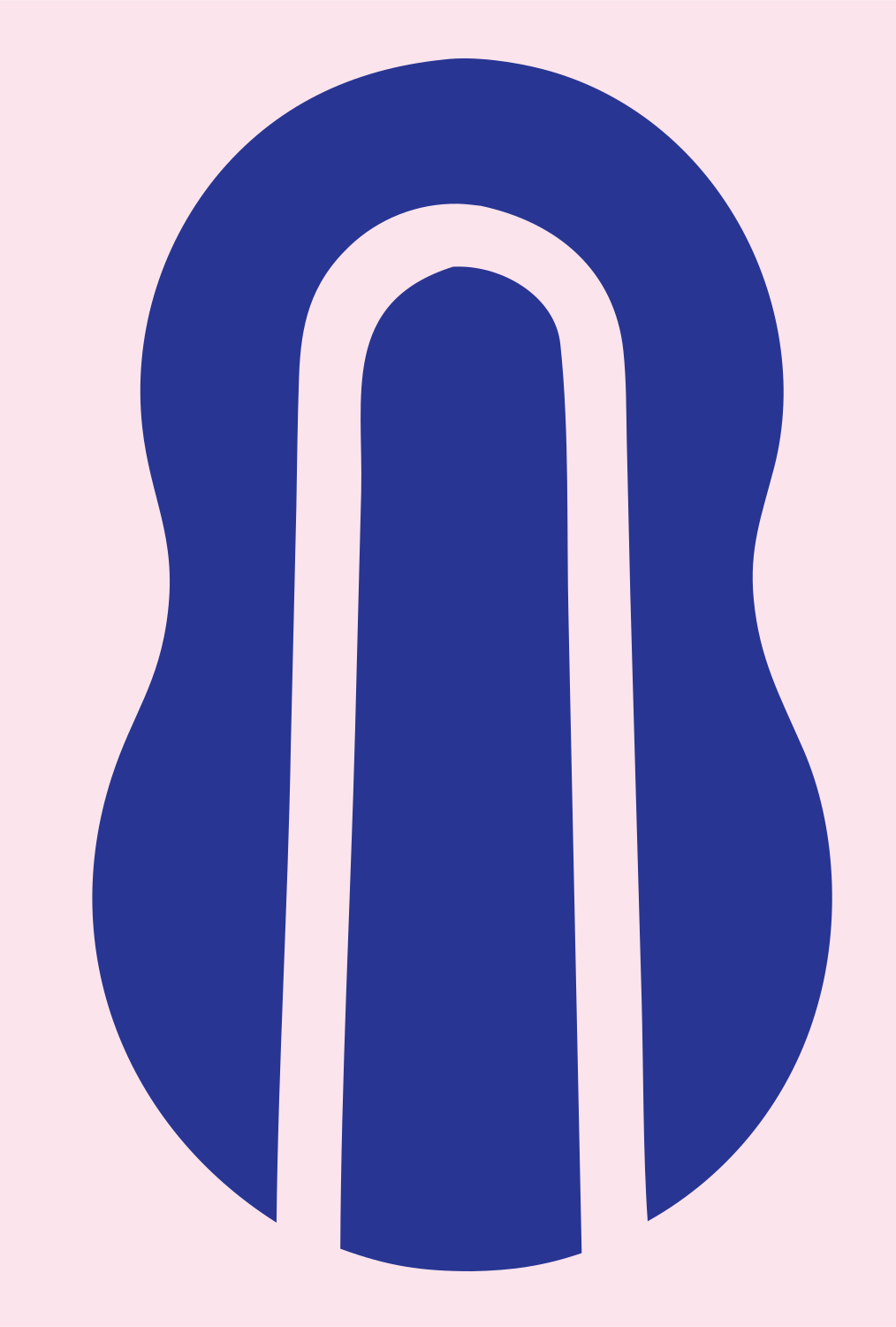 Camera Body Arch Cutout Mark #fce4ec/#283593